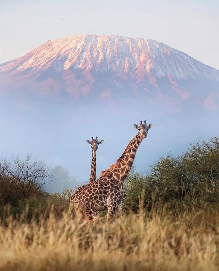 Kenya
